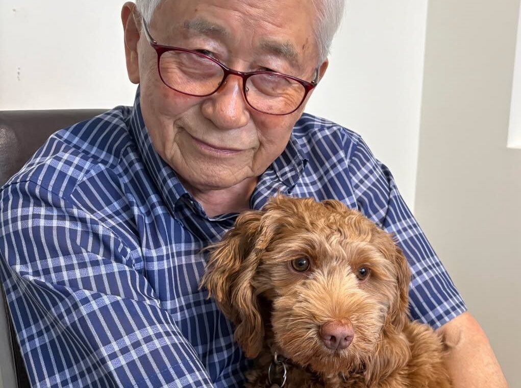 85-Year-Old Burnaby Man Killed by Stray Bullet While Inside His Home, IHIT Says