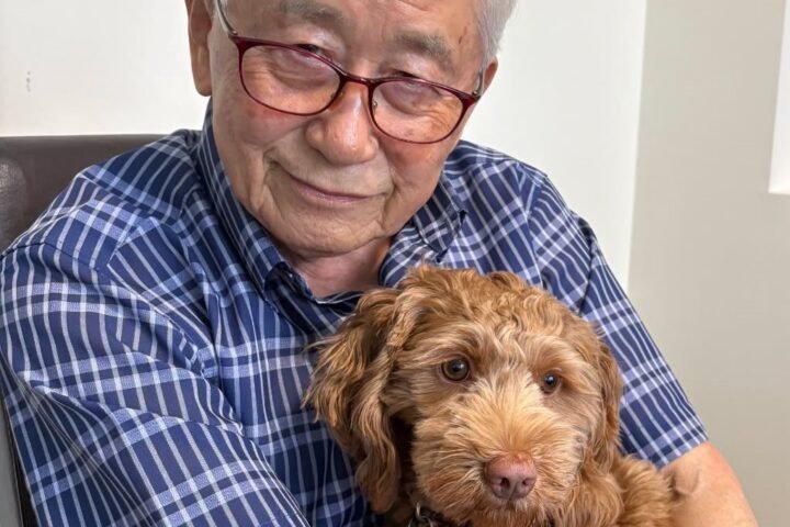 85-Year-Old Burnaby Man Killed by Stray Bullet While Inside His Home, IHIT Says
