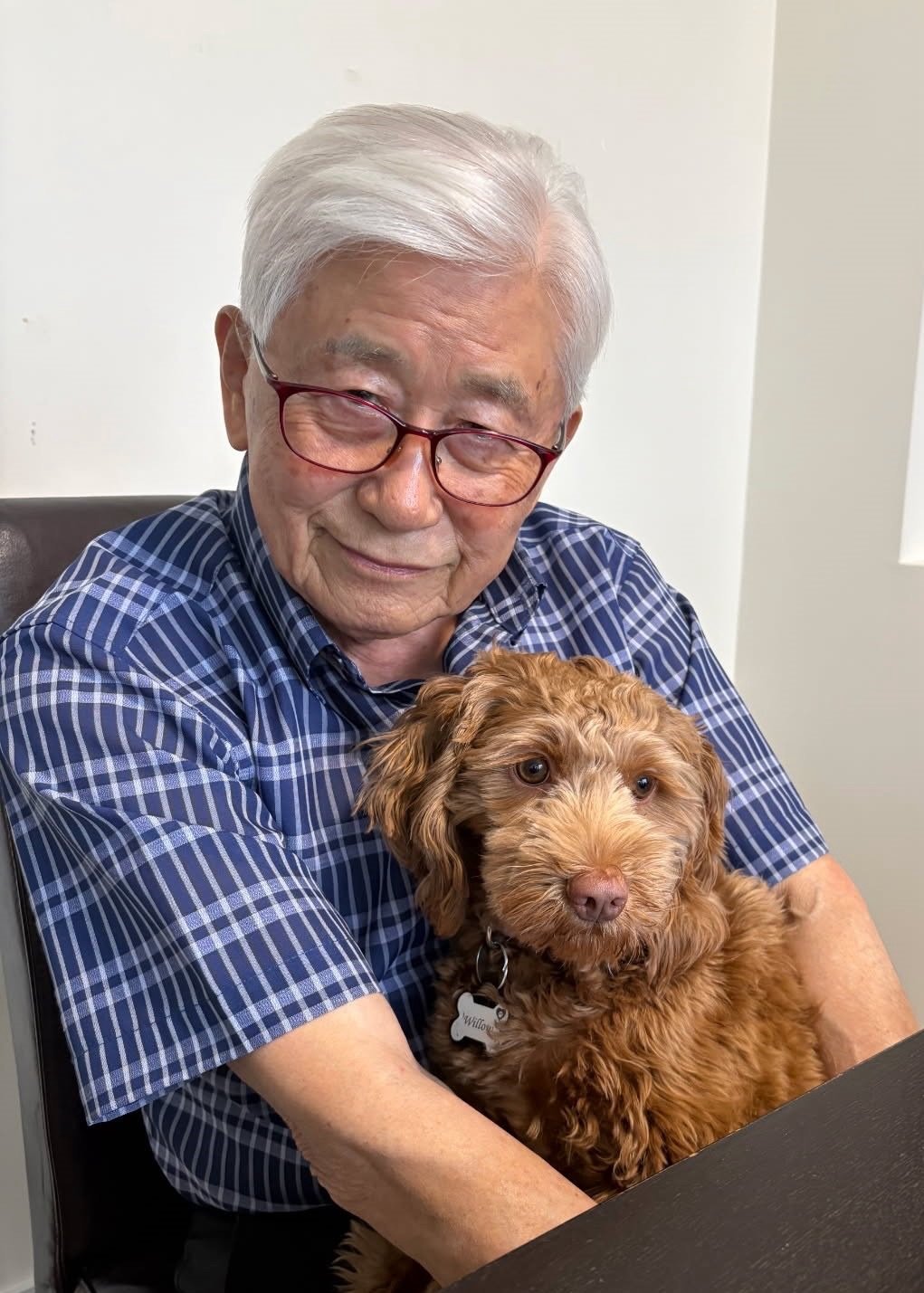 85-Year-Old Burnaby Man Killed by Stray Bullet While Inside His Home, IHIT Says