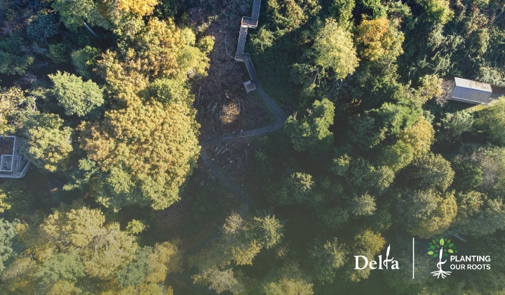 Delta Offering 250 Free Trees to Residents This Fall