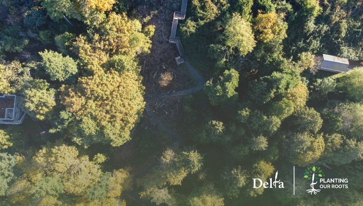 Delta Offering 250 Free Trees to Residents This Fall